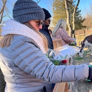 Staff volunteers help feed alpacas as Gress Mountain Ranch for the MLK Day of Service